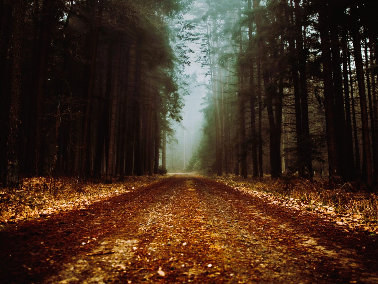 Mysterious Ways: a book update